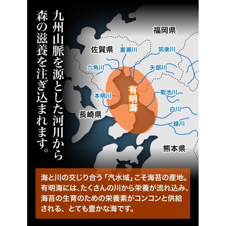 海苔 送料無料 有明海産 バラ干し海苔 2袋セット 10g入 x2袋 のり 訳あり メール便