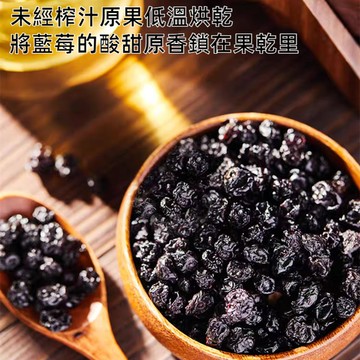 【台灣現貨 快速出貨】藍莓乾 小藍莓 原味 天然藍莓乾 加拿大果乾 水果乾