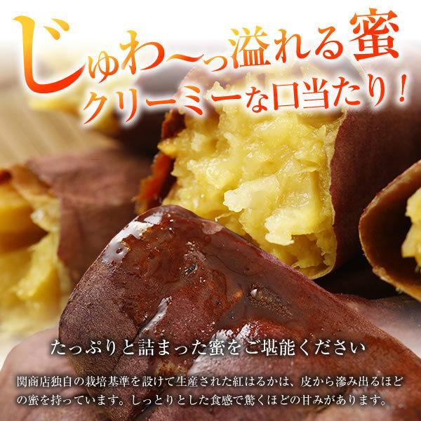 冷凍焼き芋 茨城 紅はるか 合計4kg(500g×8袋) 焼き芋 送料無料 焼いも やきいも やき芋 しっとり 無添加 無着色 茨城県 茨城県産 関商店 スミフル