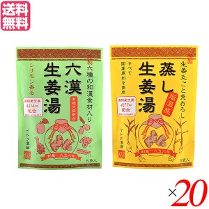 生姜湯 しょうが湯 生姜 六漢生姜湯 蒸し生姜湯 ２種セット×２０ イトク食品 送料無料