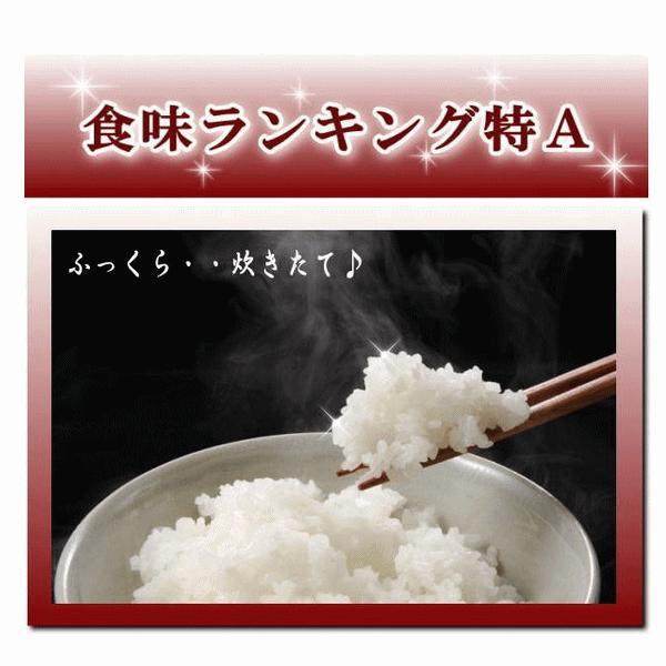 クーポン利用で10％OFF 新米 30kg コシヒカリ 玄米 お米 5年産 福島県産 送料無料 『調製料金不要!令和5年福島県産コシヒカリ(調製玄米10kg×3)』