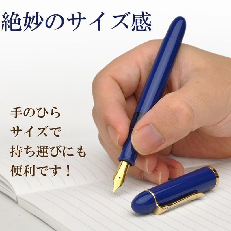 万年筆 ペリカン PELIKAN 特別生産品 限定品 M120 アイコニック