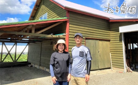 メロン 好き必見！ ふらの 赤肉 メロン3種 贅沢 定期便 北海道 富良野市 食べ比べ  (松本農園)