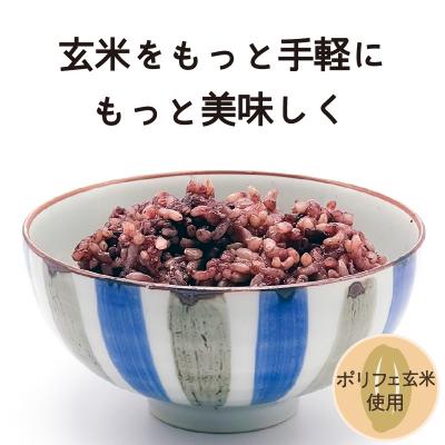 ふるさと納税 鹿児島市 冷凍玄米ごはん　6個パック