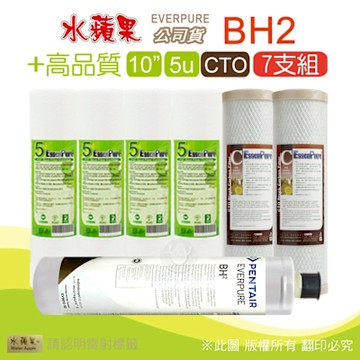 EVERPURE BH2濾心+10吋5微米高品質PP濾心+CTO(7支組) 水蘋果公司貨