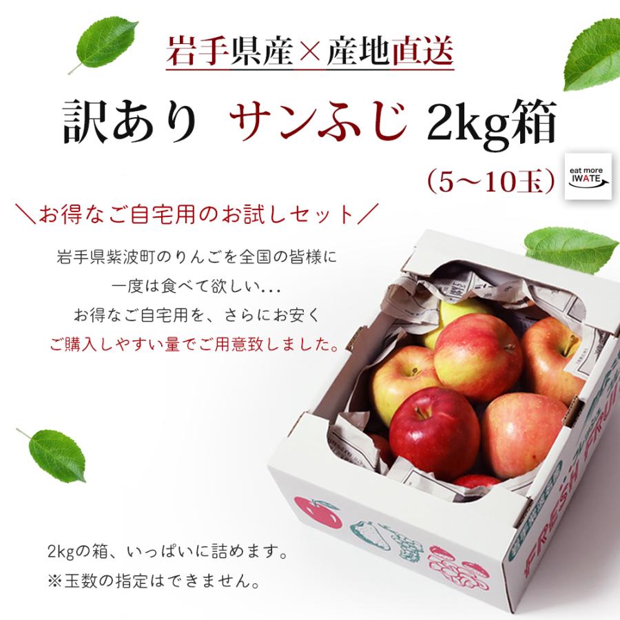 りんご 訳あり 産地直送 岩手県産 サンふじ 2kg 5-10玉入り ふじ ご自宅用 農家直送 林檎 リンゴ 果物 無袋栽培 樹上完熟