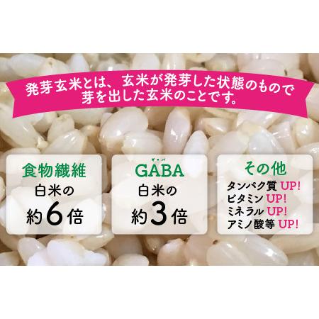 ふるさと納税 無農薬 福井県産 コシヒカリ特選 真空パック 3kg  〜玄米以上の栄養価と白米に近い柔ら.. 福井県坂井市