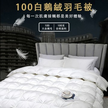 現貨 羽絨被 加厚保暖冬被芯 白鵝絨被 棉被冬天季春秋被子 180X220cm白色