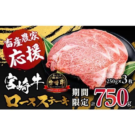 ふるさと納税 《畜産農家応援》宮崎牛 牛肉 ロースステーキ 250g×3 宮崎県産牛肉 国産牛肉【牛肉 宮崎県産牛肉 国産牛肉 ロースステーキ 75.. 宮崎県宮崎市