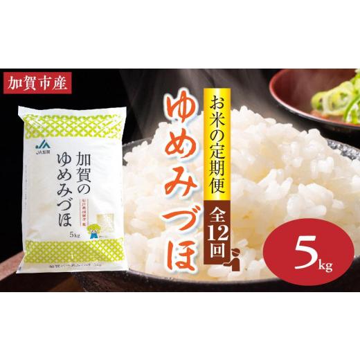 ふるさと納税 石川県 加賀市 石川県加賀市産 ゆめみづほ精米5kg(令和5年産〜)