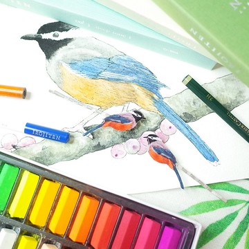 臺灣特有種 白耳畫眉 繪畫一字夾 髮夾