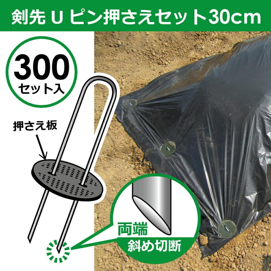 daim 剣先Uピン押さえセット 30cm 300セット入 園芸 防草 防草シート ピン 押さえ おさえ ガーデニング 家庭菜園 用品 用具 シート 固定