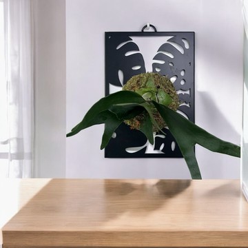 鹿角蕨鐵藝框(附掛勾)｜斑啾植選｜35cmX25cm｜上板｜藝術鐵框｜鹿角蕨上板｜上鹿｜女王亞猴巨獸鹿角蕨 ｜植床板