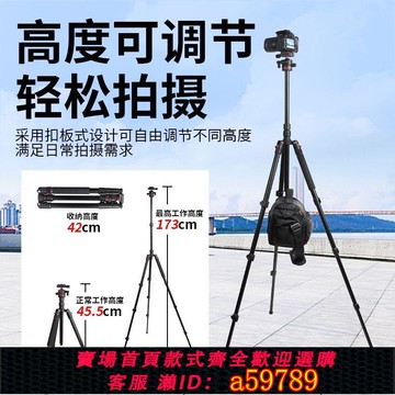 【台灣公司 可打統編】微單反相機多功能三腳架專業三角架便攜攝影直播支架通用球型云臺