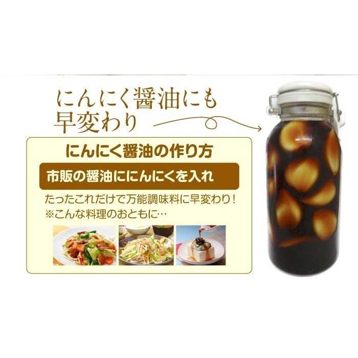 訳あり 乾燥にんにく 大玉 1kg 令和5年産 5kg以上ご購入で送料無料 国産 青森県産 福地ホワイト六片 Lサイズ 食品 香味野菜 にんにく 大蒜 健康のために