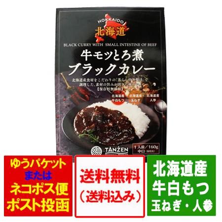 牛もつカレー 送料無料 レトルト カレー 牛もつ とろ煮 ブラックカレー レトルト 中口 1個 レトルト 牛モツ カレー