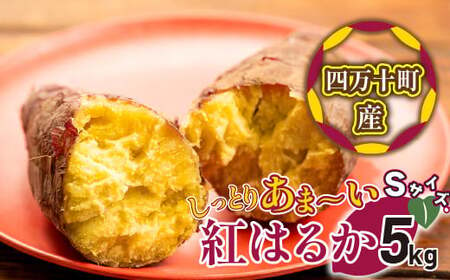 1か月熟成でしっとり甘～い！焼き芋に最適な紅はるか（小）5kg／Fiz-14