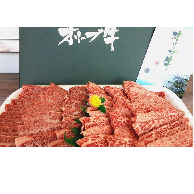 《A4～A5ランク》 黒毛和牛 焼肉セット 1kg 香川県産 オリーブ牛 焼き肉 