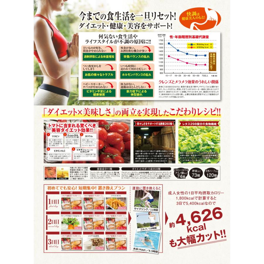 美食スタイルデリ イタリア産贅沢トマトポタージュ 1袋446ｇ31食分