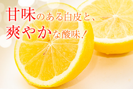 ≪数量限定≫宮浦産日向夏(計5kg以上)　フルーツ　果物　柑橘　みかん　国産 BA55-23