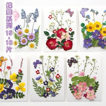 【蝶舞系列】 花包組合 真花壓花 永生花 森林系 少女寫真 壁畫 DIY水晶滴膠 乾燥花 植物標本