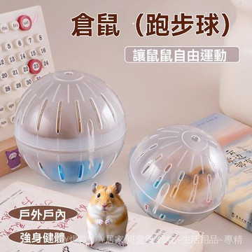 倉鼠用品 倉鼠玩具 小寵玩具 倉鼠跑輪 倉鼠跑球 靜音跑輪 倉鼠跑球運動球玩具靜音滾輪金絲熊滾球超大跑步球戶外球倉鼠爬梯