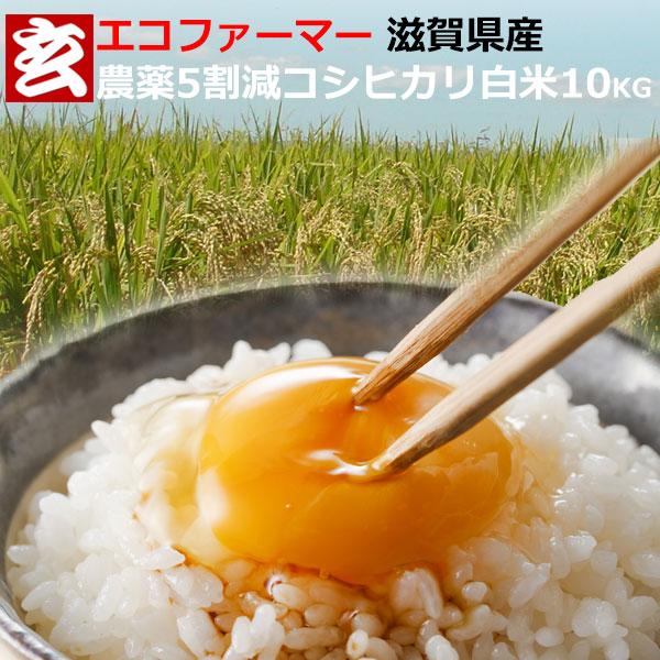 新米 米 10kg 送料無料 農薬5割減 滋賀県産 コシヒカリ 白米10kg 産年：令和5年産