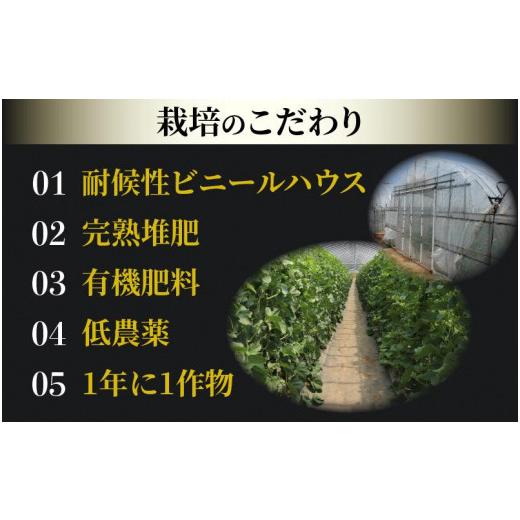 ふるさと納税 福井県 あわら市 小玉スイカ・マルセイユメロン セット 計2玉入（約3kg〜4kg）  秀品 農家直送 有機肥料 低農薬 ※2024年6月上旬よ…