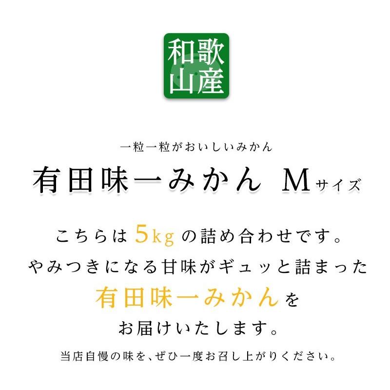 送料無料 和歌山県産 有田 味一みかん Mサイズ 約5kg  糖度 みかん 送料無料