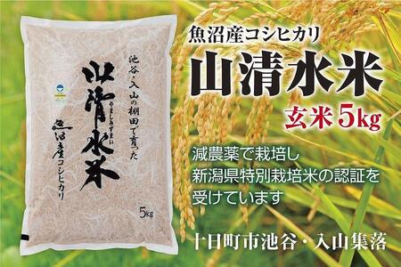 新潟県魚沼産コシヒカリ「山清水米」玄米５kg