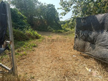 坪北段.大坪頂特定區計畫須整體開發之投資建地｜高雄市小港區坪北段