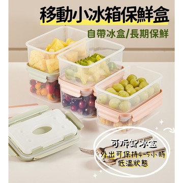 隔日配⭕帶冰格保鮮盒 水果保鮮盒 食物保鮮盒 冰盒 帶冰格保鮮盒 保鮮盒 冷凍密封保鮮盒 冷凍保鮮盒 移動小冰箱