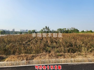 善化南科旁臨路方正農地｜台南市善化區西拉雅大道