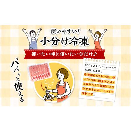 ふるさと納税 宮崎県産 豚ローススライス (400g×5パック) 合計2kg 宮崎県宮崎市