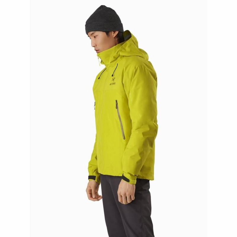 アークテリクス ARC'TERYX Beta AR Jacket Mens Rhapsody ベータ AR