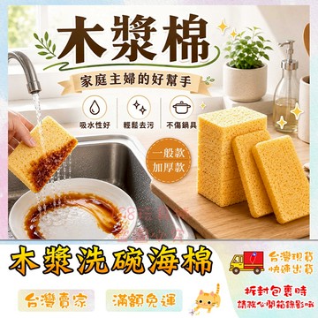 木漿海綿 木漿棉 菜瓜布 洗碗海綿 洗碗刷 木漿棉菜瓜布 洗碗抹布 海綿菜瓜布 🔥台灣現貨🔥 😽198玩具城 W1109