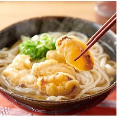 博多ごぼう天うどん　10食セット