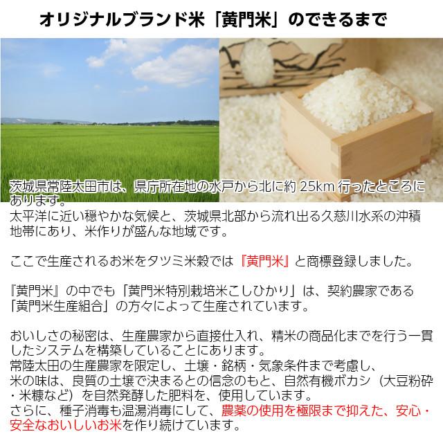 米 コシヒカリ こしひかり 黄門米 特別栽培米 玄米 10kg 令和5年産 ギフト 茨城県 お米 こめ おこめ