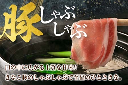 ≪3か月お楽しみ定期便≫きなこ豚4種類わくわくセット(総重量7kg)　肉　豚　豚肉　国産　宮崎県産 GG6-23