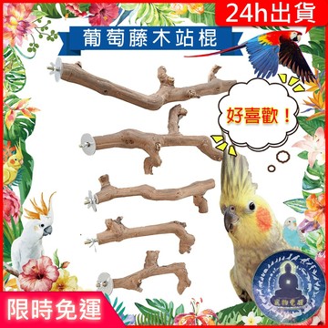 【寵物覺醒24h出貨】鸚鵡高級實心不規則葡萄藤木站棍鳥站棍耐久磨爪棒磨牙棒站棍站棒