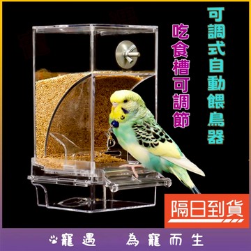 台灣出貨💕餵鳥器 小鳥餵食器 鳥餵食器 戶外餵鳥器 自動餵鳥器 鳥類餵食器 野鳥餵食器 餵鳥 喂鳥器 鵪鶉餵食器 餵食