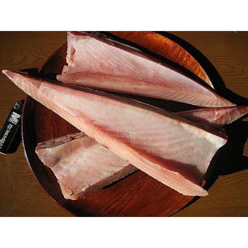 お刺身用 バチ腹身800g 天然マグロ