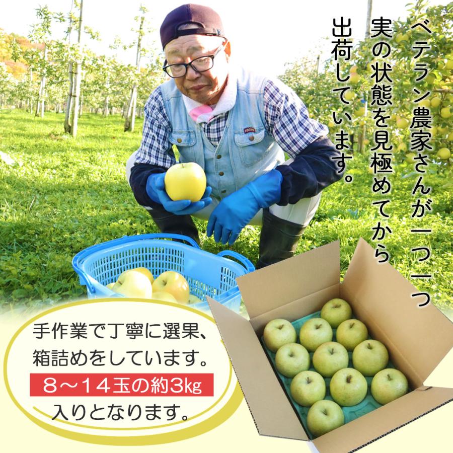 りんご 王林 3kg （約8玉〜14玉入り）2023年産 青森県産りんご ご家庭用 訳あり 産地直送 工藤農園