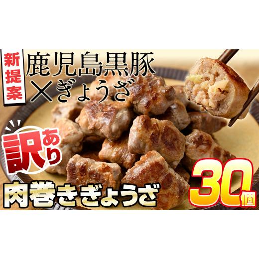 ふるさと納税 鹿児島県 志布志市 お肉屋さんの黒豚肉巻餃子 計30個(10個入×3袋) a1-009