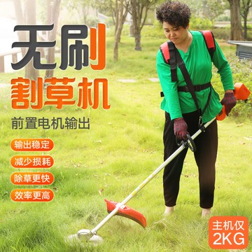 免運 可開票 限時下殺 台灣公司 除草機 割草機    無刷充電式電動割草機背負園林打草機割灌機農用家用果園除草機