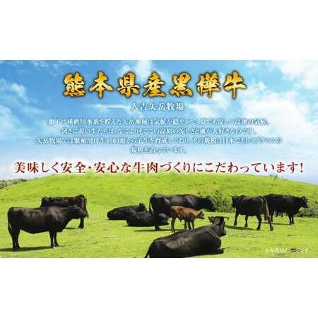 ふるさと納税 くまもと黒毛和牛 杉本本店 黒樺牛 A4~A5等級 ローススライス すき焼き用 250g 熊本県水俣市