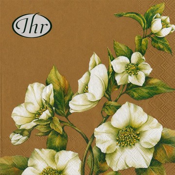 德國 IHR-33*33cm餐巾紙-聖誕玫瑰(銅色底)