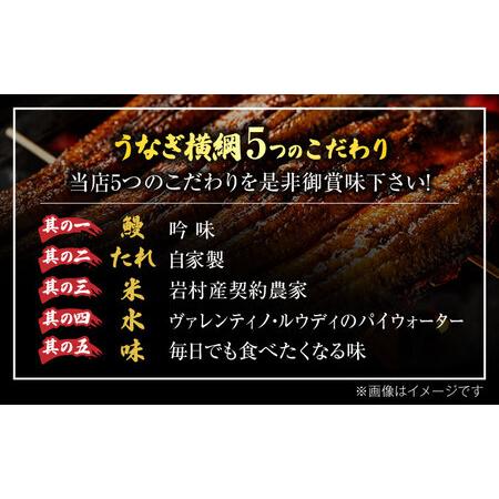 ふるさと納税 うなぎ横綱 名物 ひつまぶし ペア お食事券[MFA002] 岐阜県土岐市