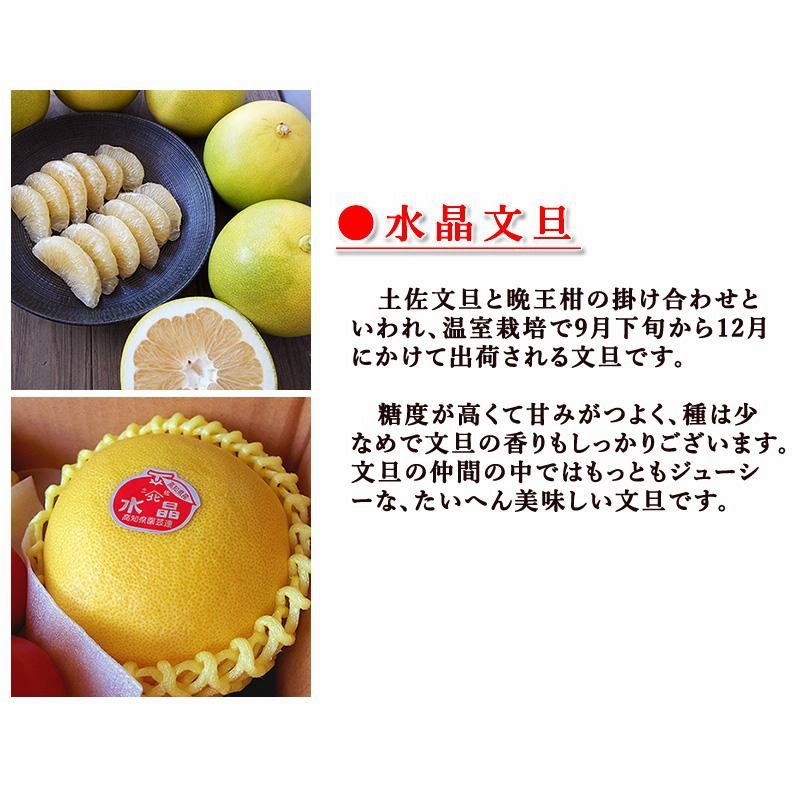 最高に美味しい特選水晶文旦 17