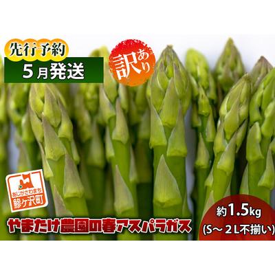 ふるさと納税 やまたけ農園の春アスパラガス！約1.5kg（S〜2L不揃い）青森県鰺ヶ沢町産 青森県鰺ヶ沢町